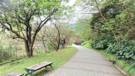 南港公園 能量|《台北南港》南港公園 蘊藏世界罕見最高地穴能量公園、盡情享。